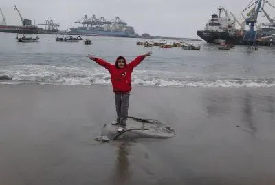 p14-12-13-1239jpg jigsaw puzzle