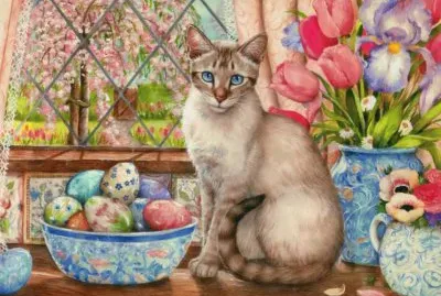 gato