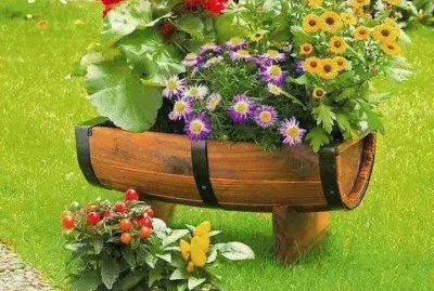 jardim
