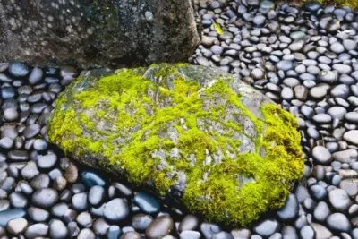 MARSU jigsaw puzzle