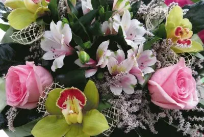 Roses and Orchids