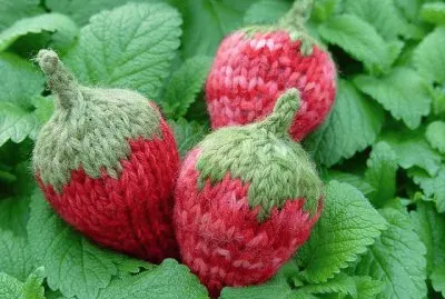 Knitting Strawberry