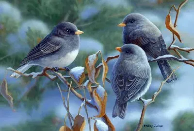 passaros azuis jigsaw puzzle