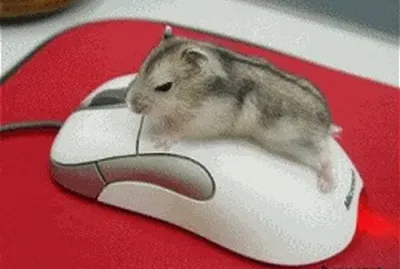 Ratones