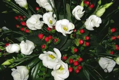 Eustoma jigsaw puzzle