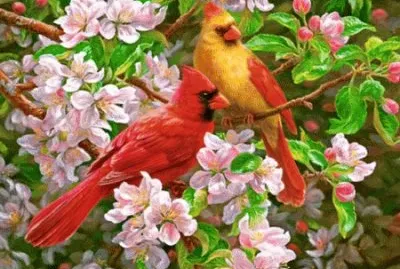 Spring Romance