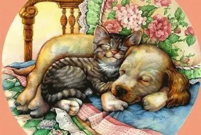 soninho jigsaw puzzle
