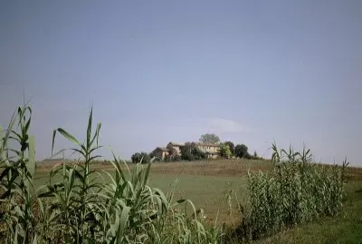 Monferrato casalese