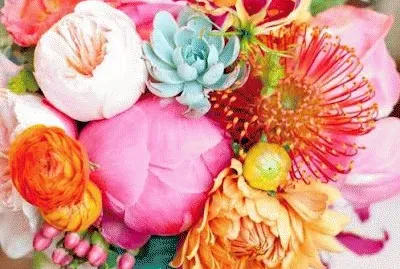 Bright Vetchling jigsaw puzzle