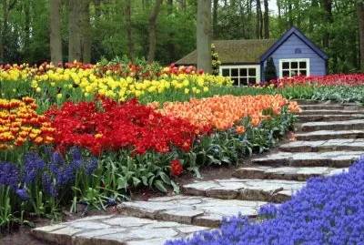 Jardins