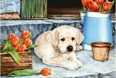Pintura