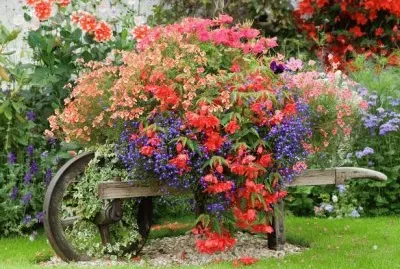 Wheelbarrow with Flowers