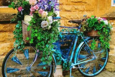 Blue Bike