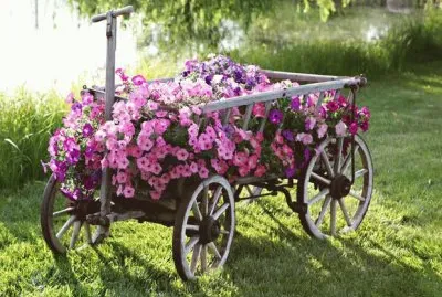 Garden Wagon
