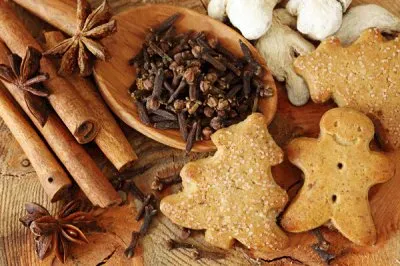 Que bueno galletas de Navidad