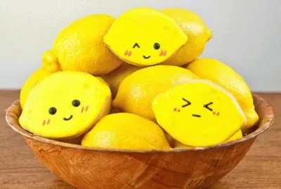 Â¿son limones? Noooo son galletas