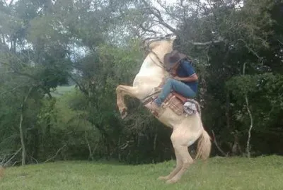 פאזל של peÃ£o