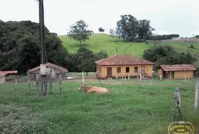 campo