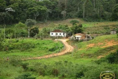 campo