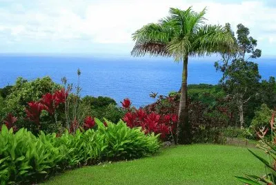MAUI HAWAY