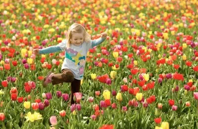 menina campo tulipas