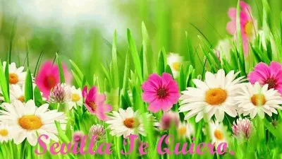 פאזל של margaritas parque del alamillo