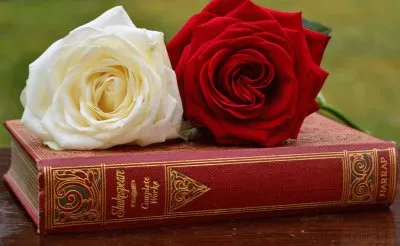 Rose and Book jigsaw puzzle