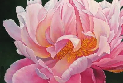 Pink Peony jigsaw puzzle