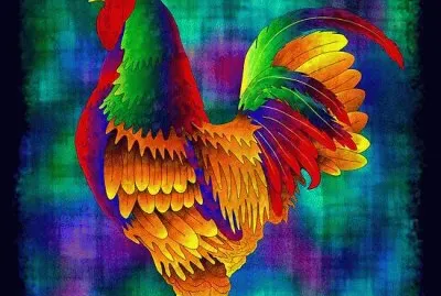 Colorful Rooster