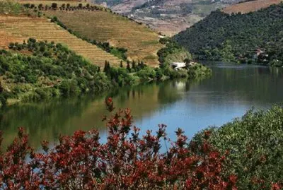 פאזל של - douro- portugal