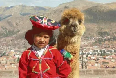 - andes jigsaw puzzle