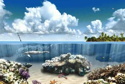 Coral Reef