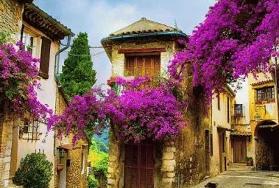 Avignon France