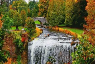 פאזל של JardÃ­n MÃ¡gico