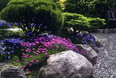 JardÃ¬