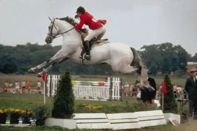 Jumping Horse