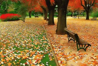 Banco no Bosque jigsaw puzzle