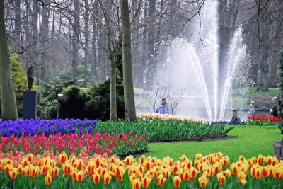 Parque Keukenhof (Holanda)