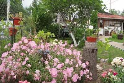 jardim