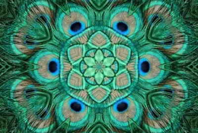 Peacock design  fractal