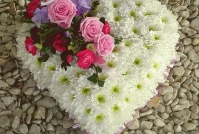 - rosas