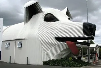 Dog Building