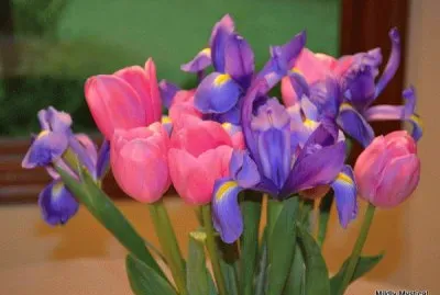 Gorgeous Mothers Day Bouquet