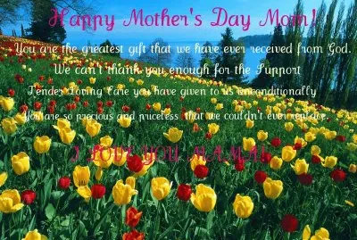 â™¥Happy Mothers Day Tulip Gardenâ™¥