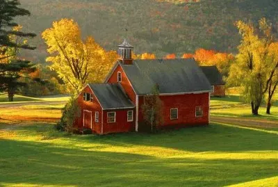 CASA EN EL BOSQUE