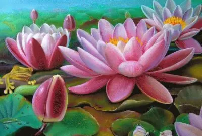 Pond Lilies