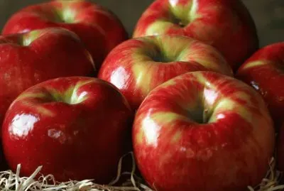 Honeycrisp Apples