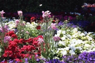 07 maio 14 jigsaw puzzle