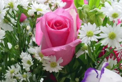 Flors