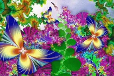 Butterfly fractal